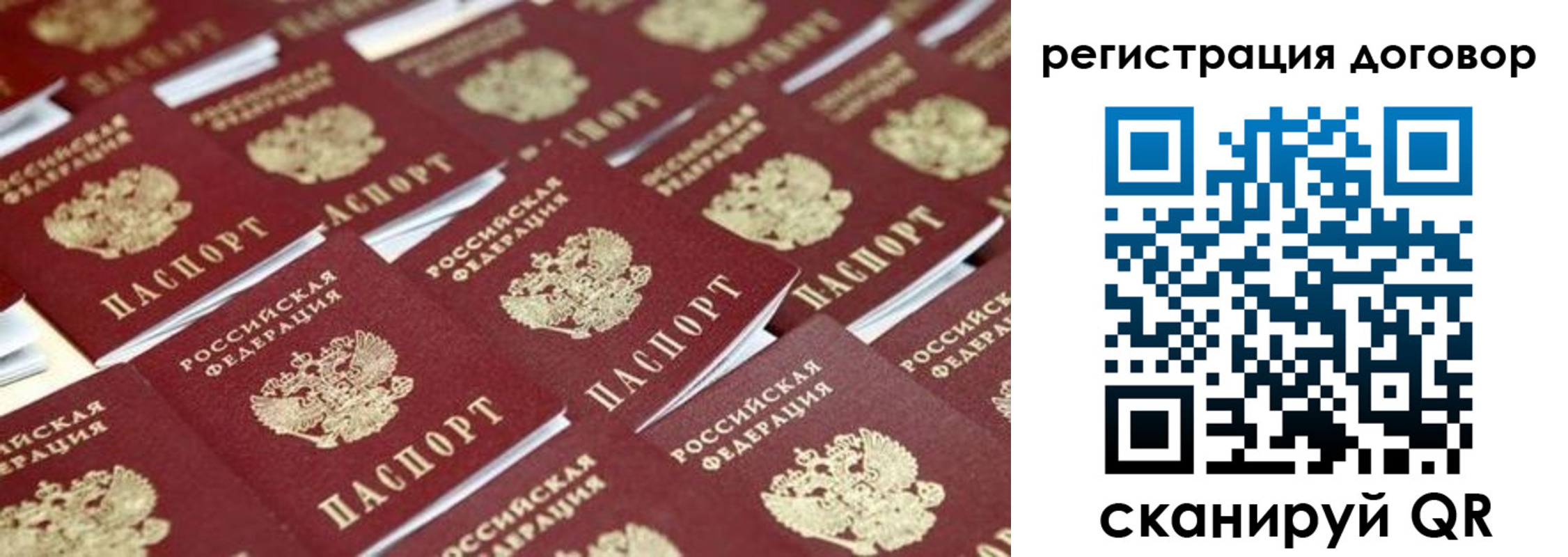 где прописаться в Ельне